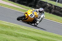 anglesey;brands-hatch;cadwell-park;croft;donington-park;enduro-digital-images;event-digital-images;eventdigitalimages;mallory;no-limits;oulton-park;peter-wileman-photography;racing-digital-images;silverstone;snetterton;trackday-digital-images;trackday-photos;vmcc-banbury-run;welsh-2-day-enduro