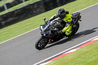 anglesey;brands-hatch;cadwell-park;croft;donington-park;enduro-digital-images;event-digital-images;eventdigitalimages;mallory;no-limits;oulton-park;peter-wileman-photography;racing-digital-images;silverstone;snetterton;trackday-digital-images;trackday-photos;vmcc-banbury-run;welsh-2-day-enduro