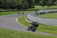 anglesey;brands-hatch;cadwell-park;croft;donington-park;enduro-digital-images;event-digital-images;eventdigitalimages;mallory;no-limits;oulton-park;peter-wileman-photography;racing-digital-images;silverstone;snetterton;trackday-digital-images;trackday-photos;vmcc-banbury-run;welsh-2-day-enduro