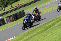anglesey;brands-hatch;cadwell-park;croft;donington-park;enduro-digital-images;event-digital-images;eventdigitalimages;mallory;no-limits;oulton-park;peter-wileman-photography;racing-digital-images;silverstone;snetterton;trackday-digital-images;trackday-photos;vmcc-banbury-run;welsh-2-day-enduro