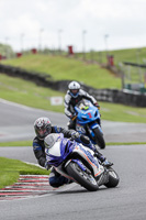 anglesey;brands-hatch;cadwell-park;croft;donington-park;enduro-digital-images;event-digital-images;eventdigitalimages;mallory;no-limits;oulton-park;peter-wileman-photography;racing-digital-images;silverstone;snetterton;trackday-digital-images;trackday-photos;vmcc-banbury-run;welsh-2-day-enduro