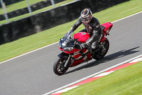 anglesey;brands-hatch;cadwell-park;croft;donington-park;enduro-digital-images;event-digital-images;eventdigitalimages;mallory;no-limits;oulton-park;peter-wileman-photography;racing-digital-images;silverstone;snetterton;trackday-digital-images;trackday-photos;vmcc-banbury-run;welsh-2-day-enduro