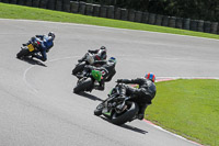 anglesey;brands-hatch;cadwell-park;croft;donington-park;enduro-digital-images;event-digital-images;eventdigitalimages;mallory;no-limits;oulton-park;peter-wileman-photography;racing-digital-images;silverstone;snetterton;trackday-digital-images;trackday-photos;vmcc-banbury-run;welsh-2-day-enduro
