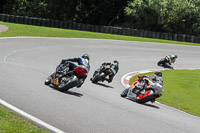 anglesey;brands-hatch;cadwell-park;croft;donington-park;enduro-digital-images;event-digital-images;eventdigitalimages;mallory;no-limits;oulton-park;peter-wileman-photography;racing-digital-images;silverstone;snetterton;trackday-digital-images;trackday-photos;vmcc-banbury-run;welsh-2-day-enduro
