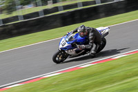anglesey;brands-hatch;cadwell-park;croft;donington-park;enduro-digital-images;event-digital-images;eventdigitalimages;mallory;no-limits;oulton-park;peter-wileman-photography;racing-digital-images;silverstone;snetterton;trackday-digital-images;trackday-photos;vmcc-banbury-run;welsh-2-day-enduro
