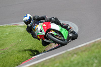 anglesey;brands-hatch;cadwell-park;croft;donington-park;enduro-digital-images;event-digital-images;eventdigitalimages;mallory;no-limits;oulton-park;peter-wileman-photography;racing-digital-images;silverstone;snetterton;trackday-digital-images;trackday-photos;vmcc-banbury-run;welsh-2-day-enduro