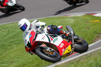 anglesey;brands-hatch;cadwell-park;croft;donington-park;enduro-digital-images;event-digital-images;eventdigitalimages;mallory;no-limits;oulton-park;peter-wileman-photography;racing-digital-images;silverstone;snetterton;trackday-digital-images;trackday-photos;vmcc-banbury-run;welsh-2-day-enduro