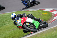 anglesey;brands-hatch;cadwell-park;croft;donington-park;enduro-digital-images;event-digital-images;eventdigitalimages;mallory;no-limits;oulton-park;peter-wileman-photography;racing-digital-images;silverstone;snetterton;trackday-digital-images;trackday-photos;vmcc-banbury-run;welsh-2-day-enduro
