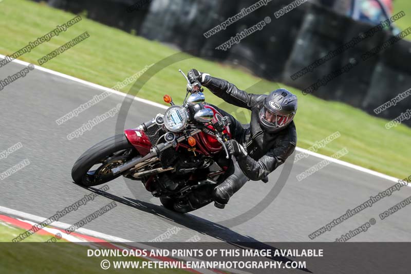 anglesey;brands hatch;cadwell park;croft;donington park;enduro digital images;event digital images;eventdigitalimages;mallory;no limits;oulton park;peter wileman photography;racing digital images;silverstone;snetterton;trackday digital images;trackday photos;vmcc banbury run;welsh 2 day enduro