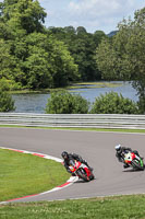 Middle Group Red Bikes