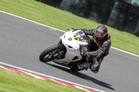 anglesey;brands-hatch;cadwell-park;croft;donington-park;enduro-digital-images;event-digital-images;eventdigitalimages;mallory;no-limits;oulton-park;peter-wileman-photography;racing-digital-images;silverstone;snetterton;trackday-digital-images;trackday-photos;vmcc-banbury-run;welsh-2-day-enduro
