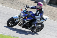 enduro-digital-images;event-digital-images;eventdigitalimages;lydden-hill;lydden-hill-trackday-photographs;lydden-no-limits-trackday;lydden-photographs;no-limits-trackdays;peter-wileman-photography;racing-digital-images;trackday-digital-images;trackday-photos