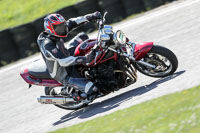 enduro-digital-images;event-digital-images;eventdigitalimages;lydden-hill;lydden-hill-trackday-photographs;lydden-no-limits-trackday;lydden-photographs;no-limits-trackdays;peter-wileman-photography;racing-digital-images;trackday-digital-images;trackday-photos