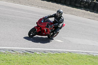 enduro-digital-images;event-digital-images;eventdigitalimages;lydden-hill;lydden-hill-trackday-photographs;lydden-no-limits-trackday;lydden-photographs;no-limits-trackdays;peter-wileman-photography;racing-digital-images;trackday-digital-images;trackday-photos