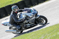 enduro-digital-images;event-digital-images;eventdigitalimages;lydden-hill;lydden-hill-trackday-photographs;lydden-no-limits-trackday;lydden-photographs;no-limits-trackdays;peter-wileman-photography;racing-digital-images;trackday-digital-images;trackday-photos