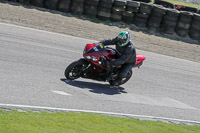 enduro-digital-images;event-digital-images;eventdigitalimages;lydden-hill;lydden-hill-trackday-photographs;lydden-no-limits-trackday;lydden-photographs;no-limits-trackdays;peter-wileman-photography;racing-digital-images;trackday-digital-images;trackday-photos