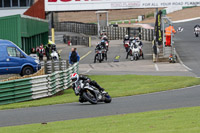 Advanced Group Silver/Grey Bikes