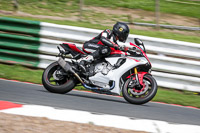 Lower Group Orange Bikes