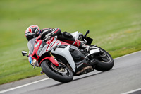 Lower Group Red Bikes