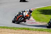 Advanced Group Orange Bikes