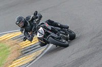 Low/Mid Group Black Bikes