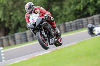 anglesey;brands-hatch;cadwell-park;croft;donington-park;enduro-digital-images;event-digital-images;eventdigitalimages;mallory;no-limits;oulton-park;peter-wileman-photography;racing-digital-images;silverstone;snetterton;trackday-digital-images;trackday-photos;vmcc-banbury-run;welsh-2-day-enduro