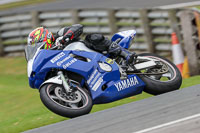 anglesey;brands-hatch;cadwell-park;croft;donington-park;enduro-digital-images;event-digital-images;eventdigitalimages;mallory;no-limits;oulton-park;peter-wileman-photography;racing-digital-images;silverstone;snetterton;trackday-digital-images;trackday-photos;vmcc-banbury-run;welsh-2-day-enduro