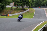 anglesey;brands-hatch;cadwell-park;croft;donington-park;enduro-digital-images;event-digital-images;eventdigitalimages;mallory;no-limits;oulton-park;peter-wileman-photography;racing-digital-images;silverstone;snetterton;trackday-digital-images;trackday-photos;vmcc-banbury-run;welsh-2-day-enduro