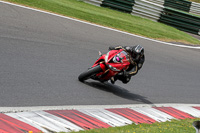 cadwell-no-limits-trackday;cadwell-park;cadwell-park-photographs;cadwell-trackday-photographs;enduro-digital-images;event-digital-images;eventdigitalimages;no-limits-trackdays;peter-wileman-photography;racing-digital-images;trackday-digital-images;trackday-photos