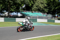 Advanced Group White Bikes