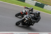 Lower Group Black Bikes