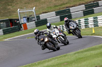 Middle Group Black Bikes