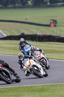 Advanced Group White Bikes