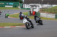 Middle Group White Bikes