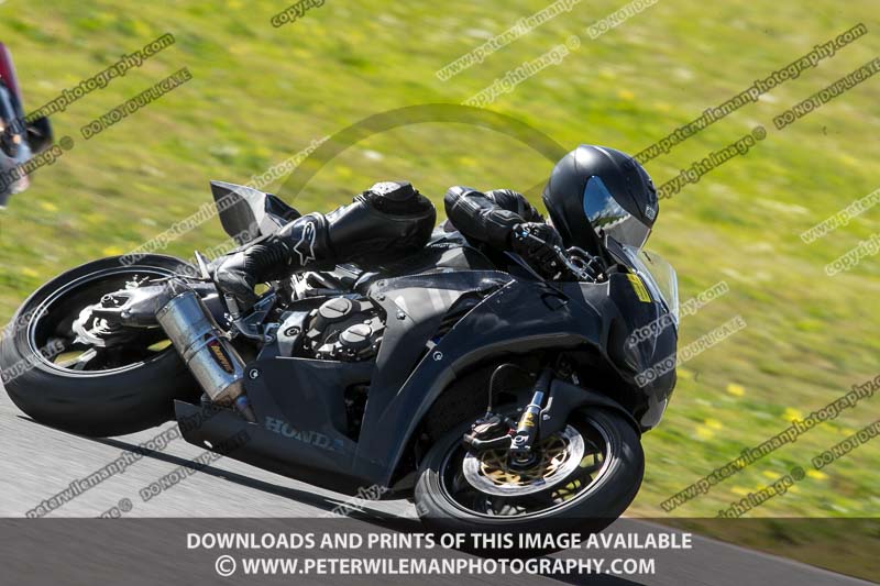 march 2017;motorbikes;no limits;peter wileman photography;portimao;portugal;trackday digital images