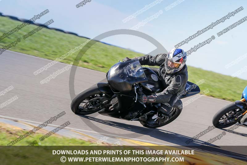 anglesey no limits trackday;anglesey photographs;anglesey trackday photographs;enduro digital images;event digital images;eventdigitalimages;no limits trackdays;peter wileman photography;racing digital images;trac mon;trackday digital images;trackday photos;ty croes
