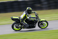 Middle Group Black Bikes