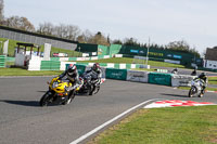 Middle Group Yellow Bikes