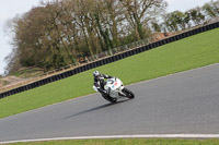 Lower Group White Bikes
