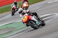 Advanced Group Silver/Grey Bikes