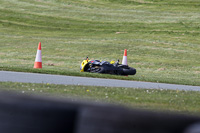 Lower Group Yellow Bikes