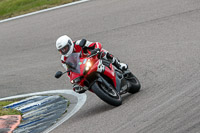 Lower Group Red Bikes