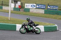 Lower Group Green Bikes