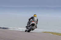 Lower Group White Bikes