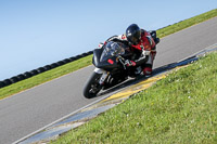 anglesey-no-limits-trackday;anglesey-photographs;anglesey-trackday-photographs;enduro-digital-images;event-digital-images;eventdigitalimages;no-limits-trackdays;peter-wileman-photography;racing-digital-images;trac-mon;trackday-digital-images;trackday-photos;ty-croes