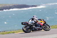 anglesey-no-limits-trackday;anglesey-photographs;anglesey-trackday-photographs;enduro-digital-images;event-digital-images;eventdigitalimages;no-limits-trackdays;peter-wileman-photography;racing-digital-images;trac-mon;trackday-digital-images;trackday-photos;ty-croes