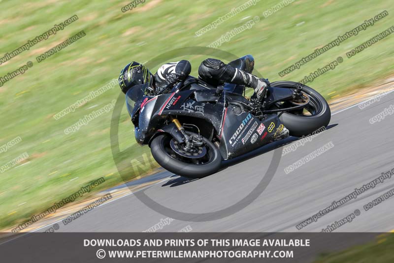 anglesey no limits trackday;anglesey photographs;anglesey trackday photographs;enduro digital images;event digital images;eventdigitalimages;no limits trackdays;peter wileman photography;racing digital images;trac mon;trackday digital images;trackday photos;ty croes