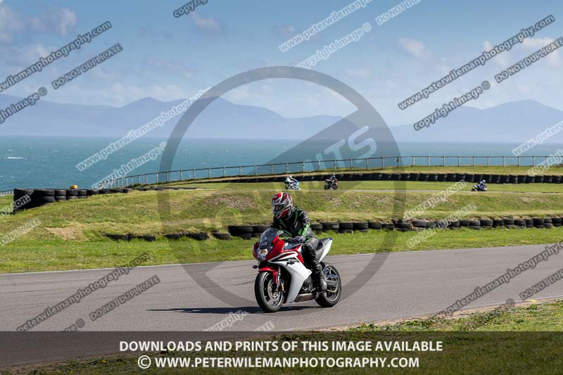anglesey no limits trackday;anglesey photographs;anglesey trackday photographs;enduro digital images;event digital images;eventdigitalimages;no limits trackdays;peter wileman photography;racing digital images;trac mon;trackday digital images;trackday photos;ty croes