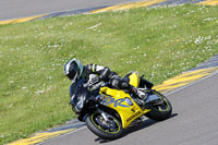 Lower Group Yellow Bikes