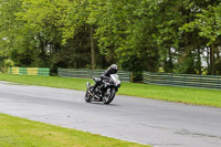 Lower Group Black Bikes
